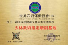 湖北武漢陽邏少林武術培訓學校